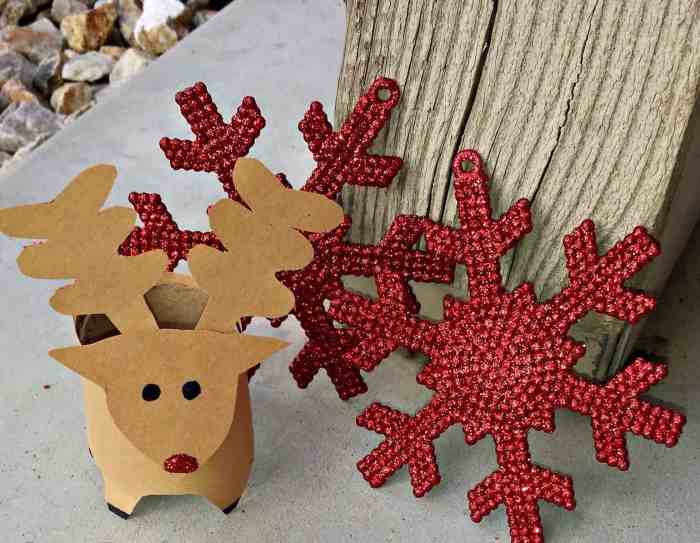 Diy decorations for christmas