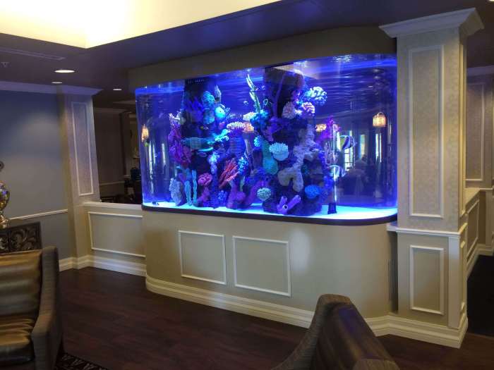 Fish Aquarium Decor Ideas Transform Your Tank